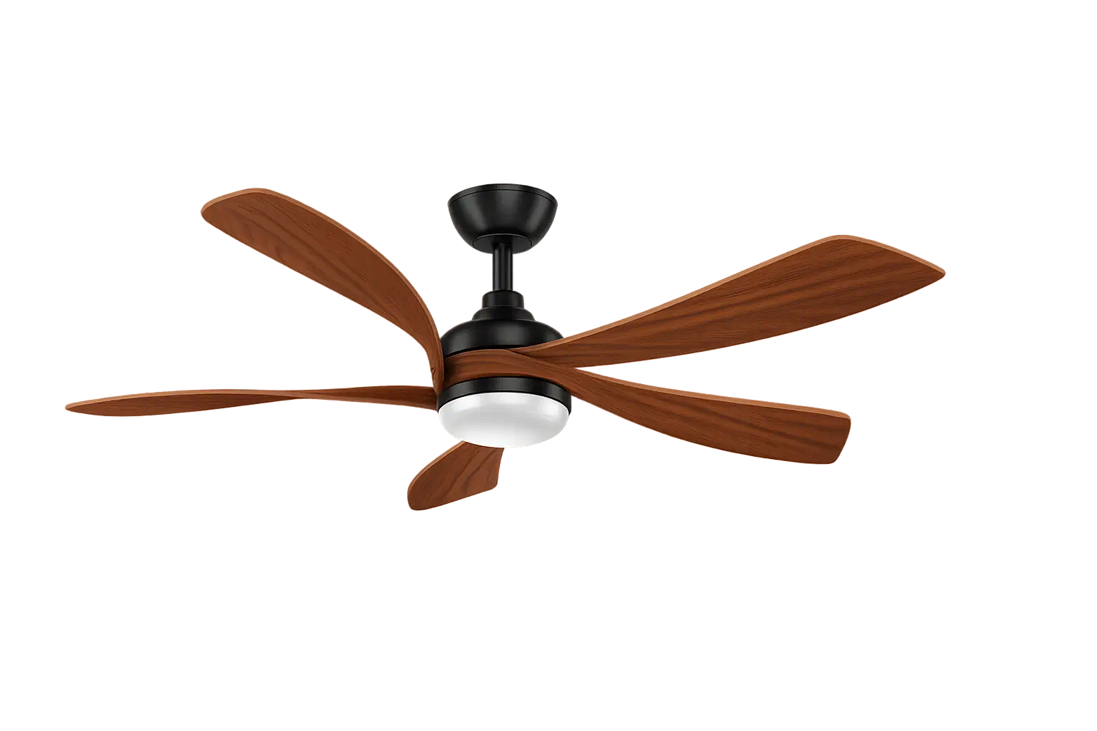 Galeon - Image 2